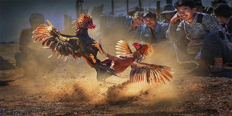 vietjack 8 đăng nhập roulette số 1