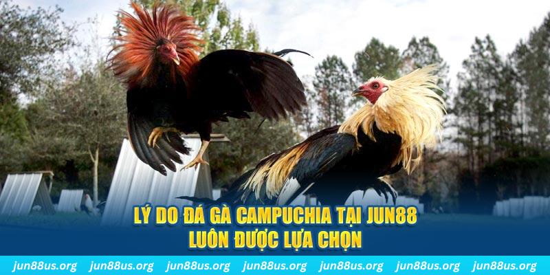 vietjack 8 tài xỉu nổ hũ là gì