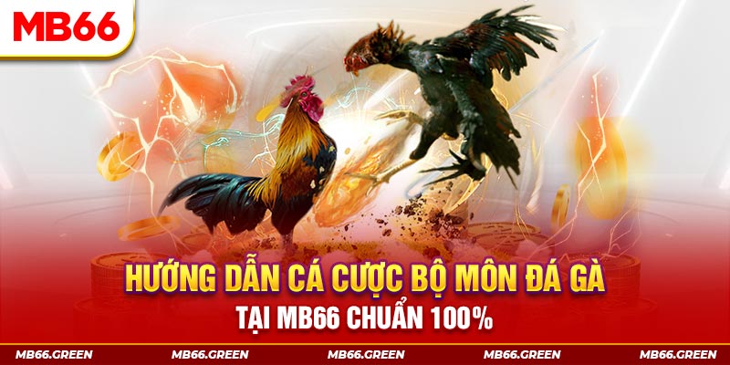 vietjack 8 xổ số bình định