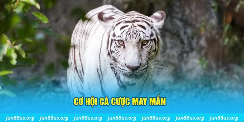 vietjack 8 hết slot la gì
