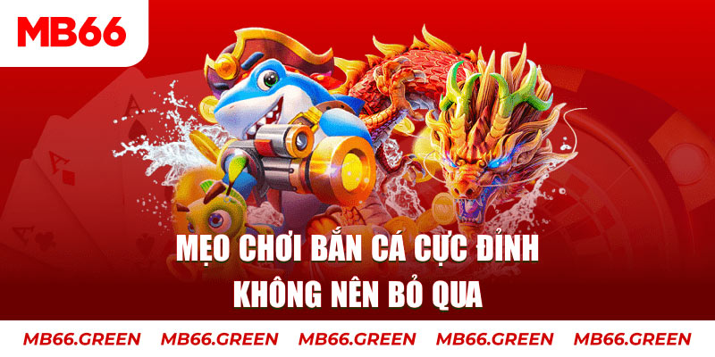 vietjack 8 casino ở đâu