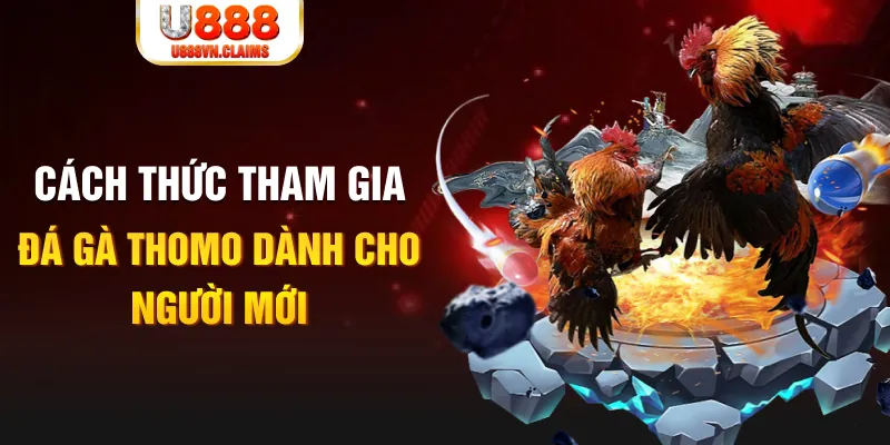 vietjack 8 kết quả xổ số miền nam