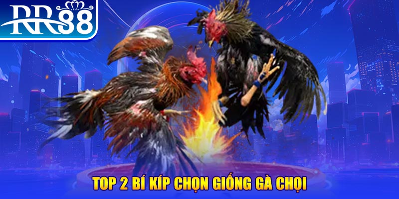 vietjack 8 đăng nhập poker số 1