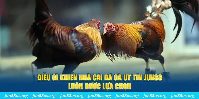 vietjack 8 qq88 nổ hũ bắn cá