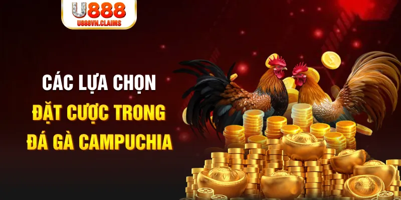 vietjack 8 SW Xổ Số