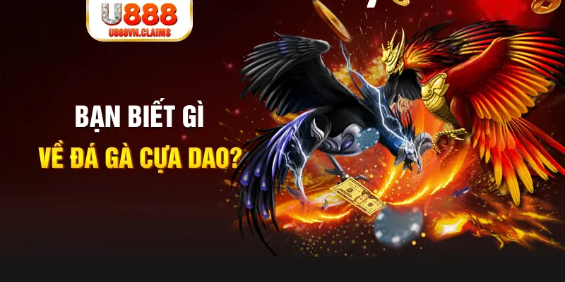 vietjack 8 xổ số kiến thiết