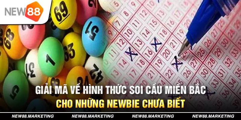 vietjack 8 đăng nhập mậu binh live