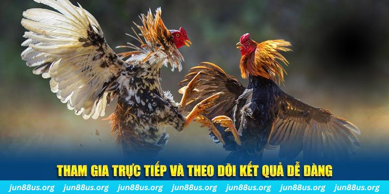 vietjack 8 đá gà trực tiếp bình luận viên