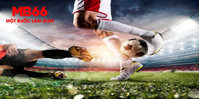 vietjack 8 xổ số miền bắc hôm