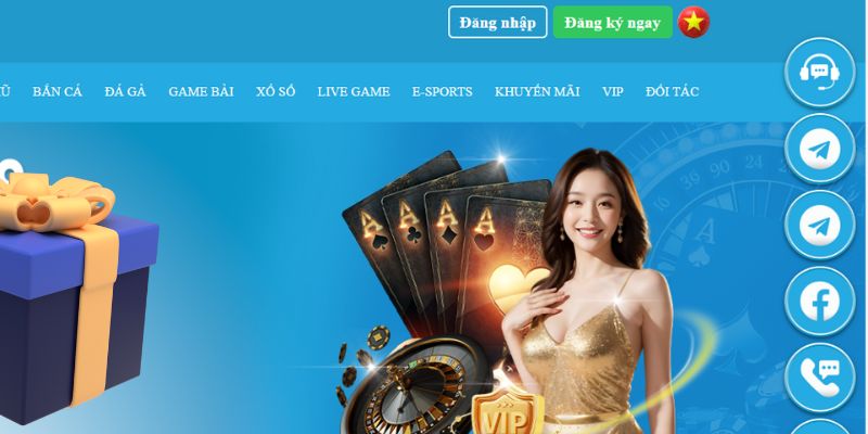 vietjack 8 slot là gì dịch