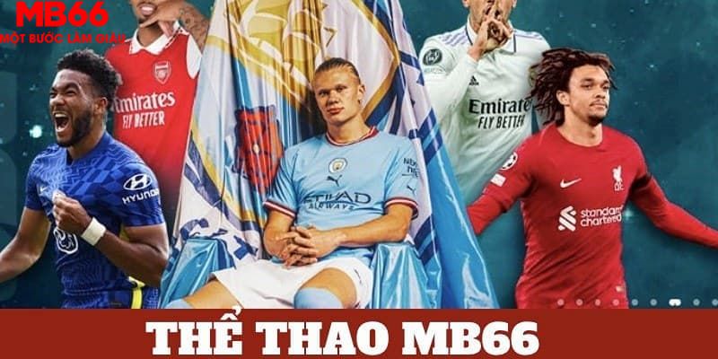 vietjack 8 trực tiếp đá gà 67