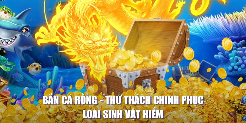 vietjack 8 MW Điện Tử