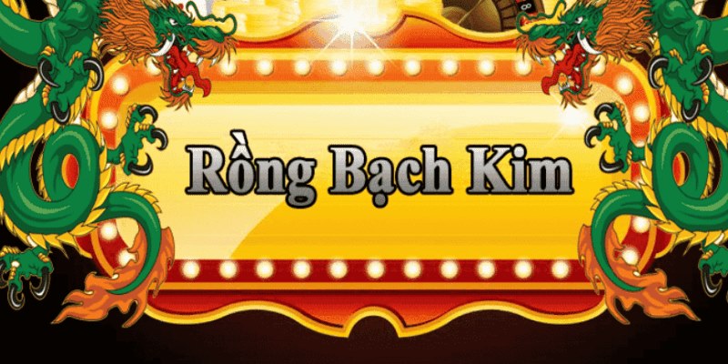 vietjack 8 đăng nhập roulette 2025