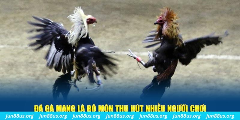 vietjack 8 xổ số cà mau