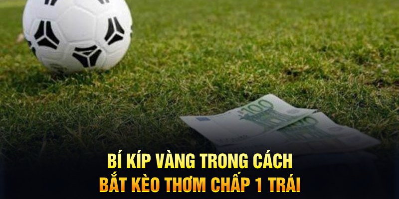 vietjack 8 đăng nhập mậu binh mới nhất