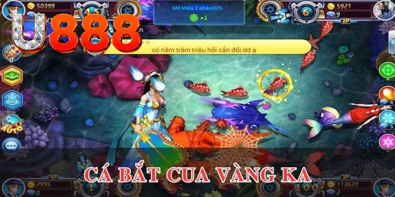 vietjack 8 đăng nhập phỏm uy tín
