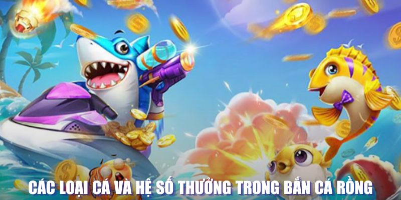 vietjack 8 loi game dot kich ket noi may chu that bai