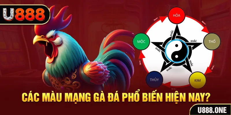 vietjack 8 đăng nhập mậu binh