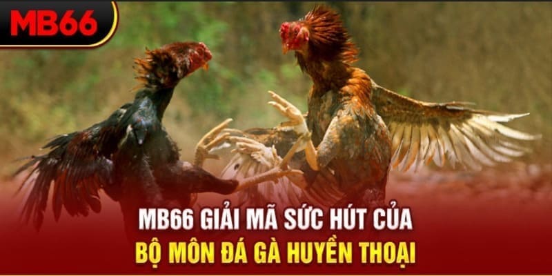 vietjack 8 Phi Đội Ưu Tú