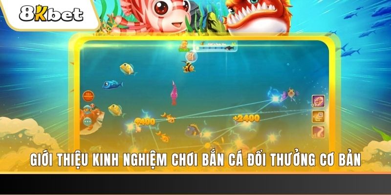 vietjack 8 xổ số miền bắc thứ năm hàng tuần
