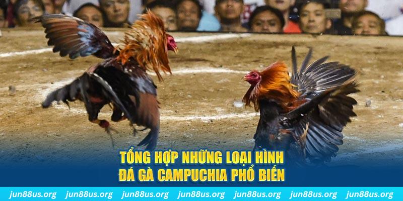 vietjack 8 ON Trực Tuyến