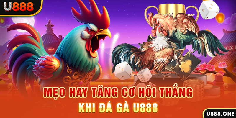vietjack 8 trực tiếp gà chọi c1