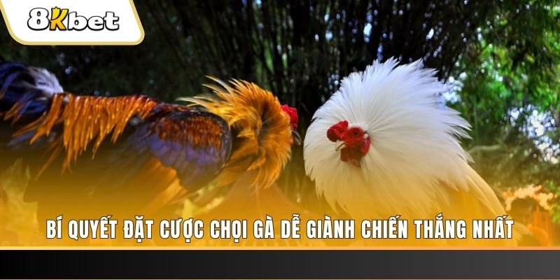 vietjack 8 Tài Xỉu 2