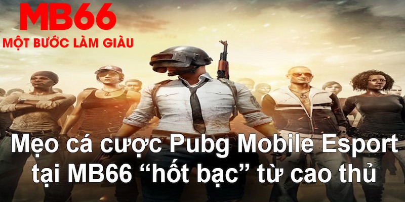 vietjack 8 gà chọi mộc hóa