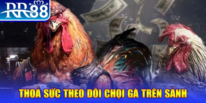 vietjack 8 đá gà 88.com
