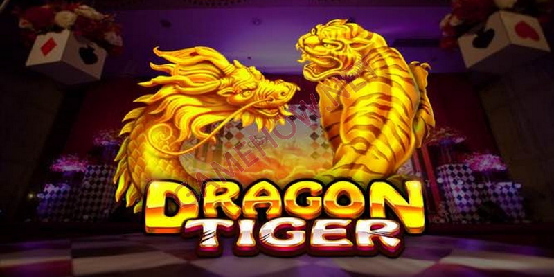 vietjack 8 slot nghĩa là gì