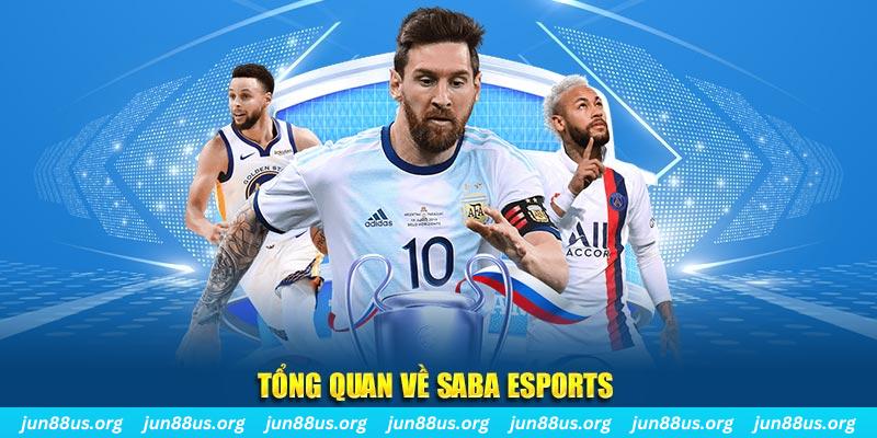 vietjack 8 gà chọi c1 tv trực tiếp hôm nay