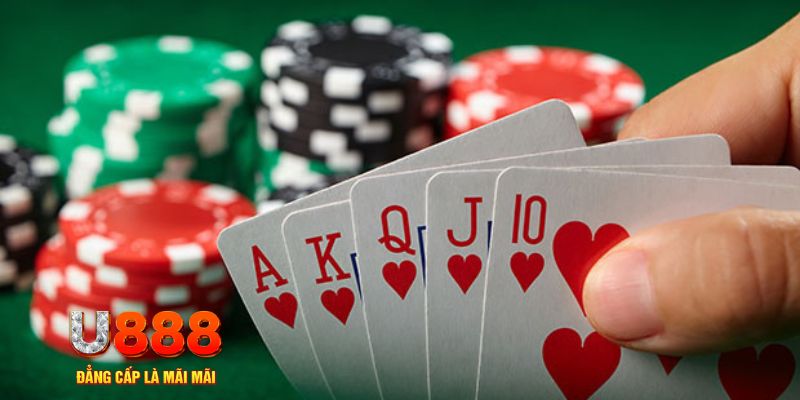 vietjack 8 trực tiếp đá gà